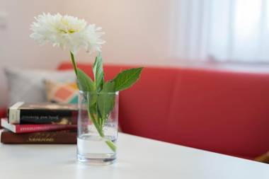 Hofmann`s Apartements & Ferienwohnungen