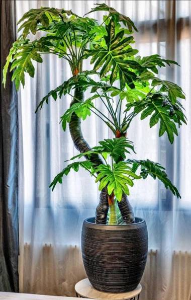 High Level Apartment