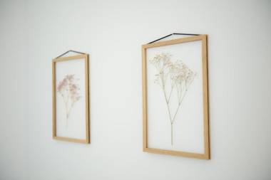 The Apartment Central