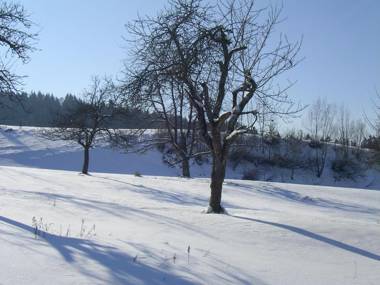 Ferienclub Maierhöfen