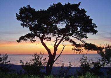 Ferienhaus Lubmin VORP 1771