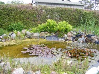 Bungalow Neues Atelier