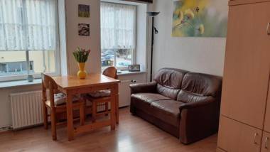 1-Zimmer-Apartment-1-im-1-Obergeschoss