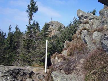 GarniHotel zur Linde