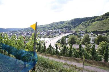 Ferienwohnungen im Moseltal
