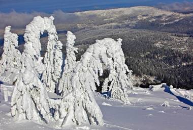 Ferienwohnung im Landhaus am Nationalpark