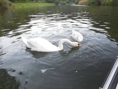 Panoramaapartement Sonnenlicht