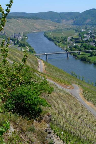 Wein- und Gästehaus Genetsch