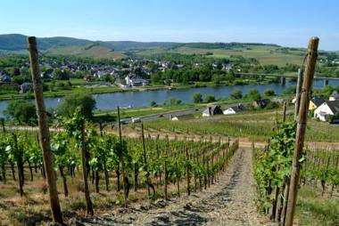 Wein- und Gästehaus Genetsch