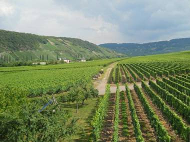 Ferienweingut Winnebeck