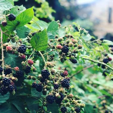 Alte Bahnstation Leipzig (Appartement TWO & ONE)