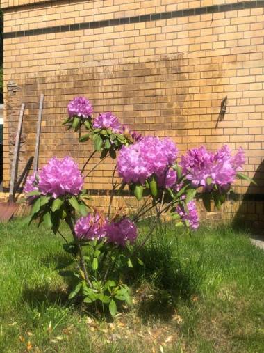 Alte Bahnstation Leipzig (Appartement TWO & ONE)