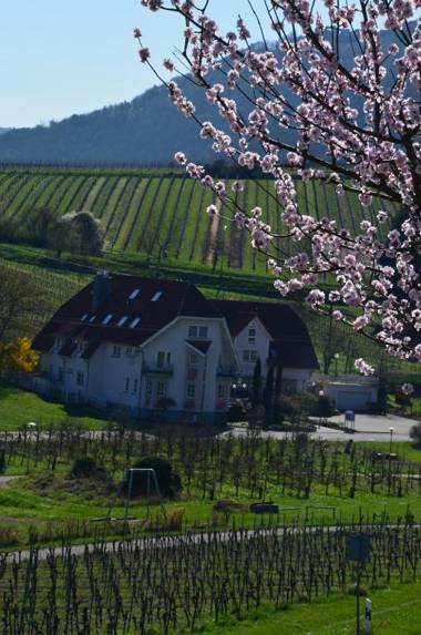 Castell Hotel & Restaurant