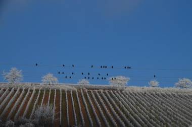 Castell Hotel & Restaurant