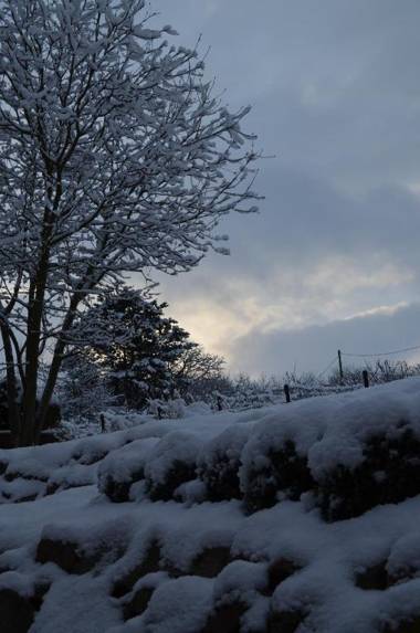 Castell Hotel & Restaurant