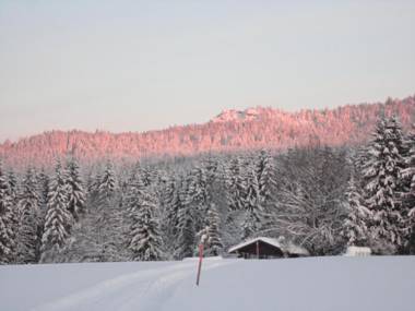 Landgasthof Brandtner Wirt