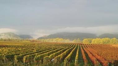 Valley ferienwohnung SÜW