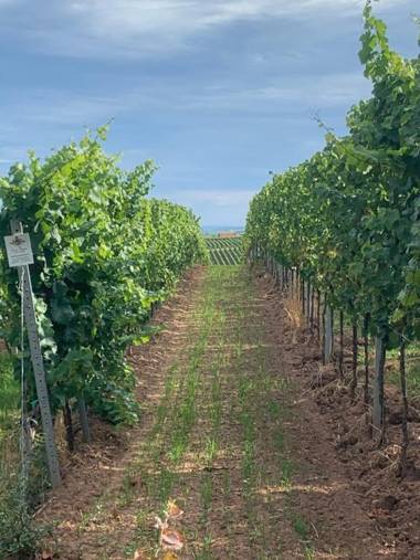 Gästehaus St Laurentiushof