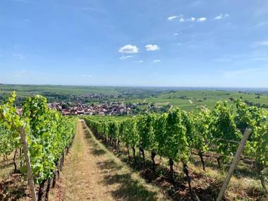 Gästehaus St Laurentiushof