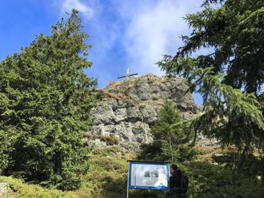 Spacious Villa near Forest in Buchet