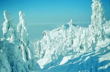 Appartements Pension Hammerschmied