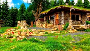 Ferienwohnung-direkt-am-skihang