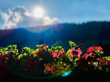 Ferienwohnung-direkt-am-skihang