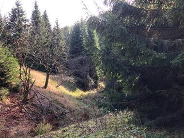 Schaefers Ferienwohnung