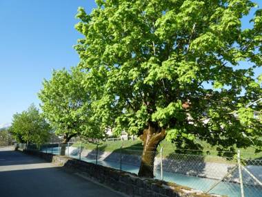 Haus Abendsonne Familie Druxes