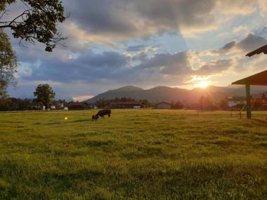 Ferienwohnungen Hanslbauer