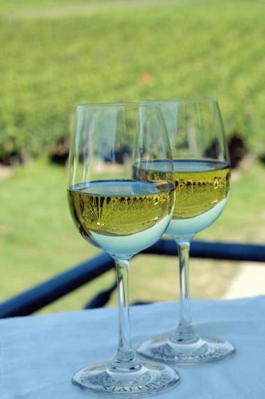 Bio-Weingut Staffelter Hof