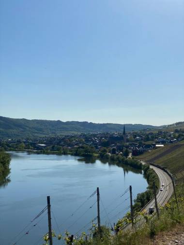 Hotel Springiersbacher-Hof