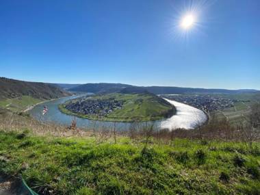 Hotel Springiersbacher-Hof