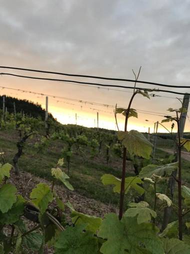 Ferienappartement Hennen