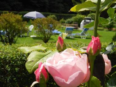 Aparthotel Alpenpark