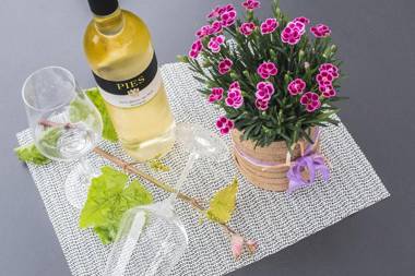 Ellenzer Goldbäumchen