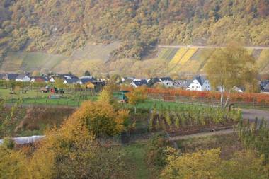 Ferienhaus Mosel Bub