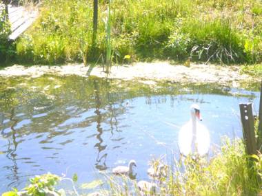 Ferienwohnung am Heegesee