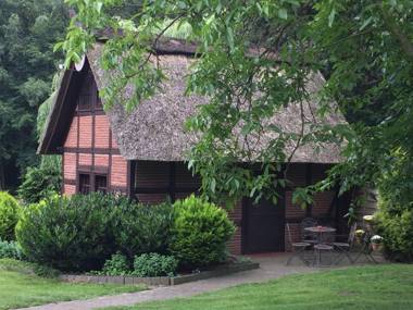 Holiday Home in Kirchdorf with Swimming PoolTerrace Garden