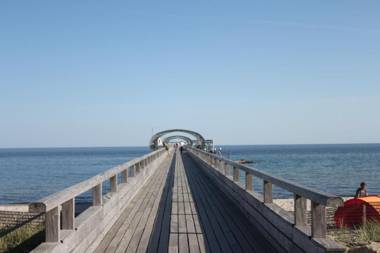 Strandläufer im Kirschgarten