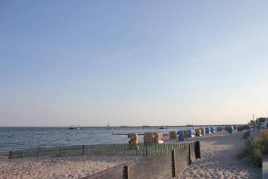 Strandläufer im Kirschgarten
