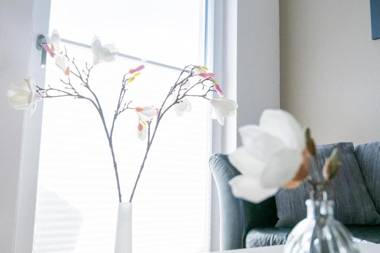 Ferienwohnung Strandläufer im Haus Strandnixe
