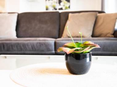 Im Sonnengarten Wohnung 18