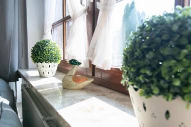 Ostseegarten Goldulme