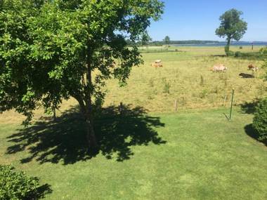 Mein-Ostseeplätzchen