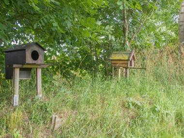 Landurlaub Regenholz