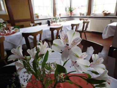 Hotel & Restaurant Zur Weintraube