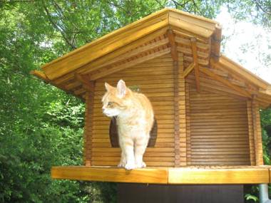 Ferienwohnung Wagner