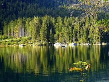 Gästehaus Inzeller Hof