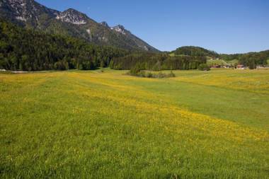 Ferienwohnung Panorama EG